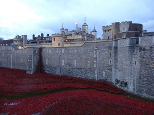 Tower of London Poppies by Jonathan Cardy